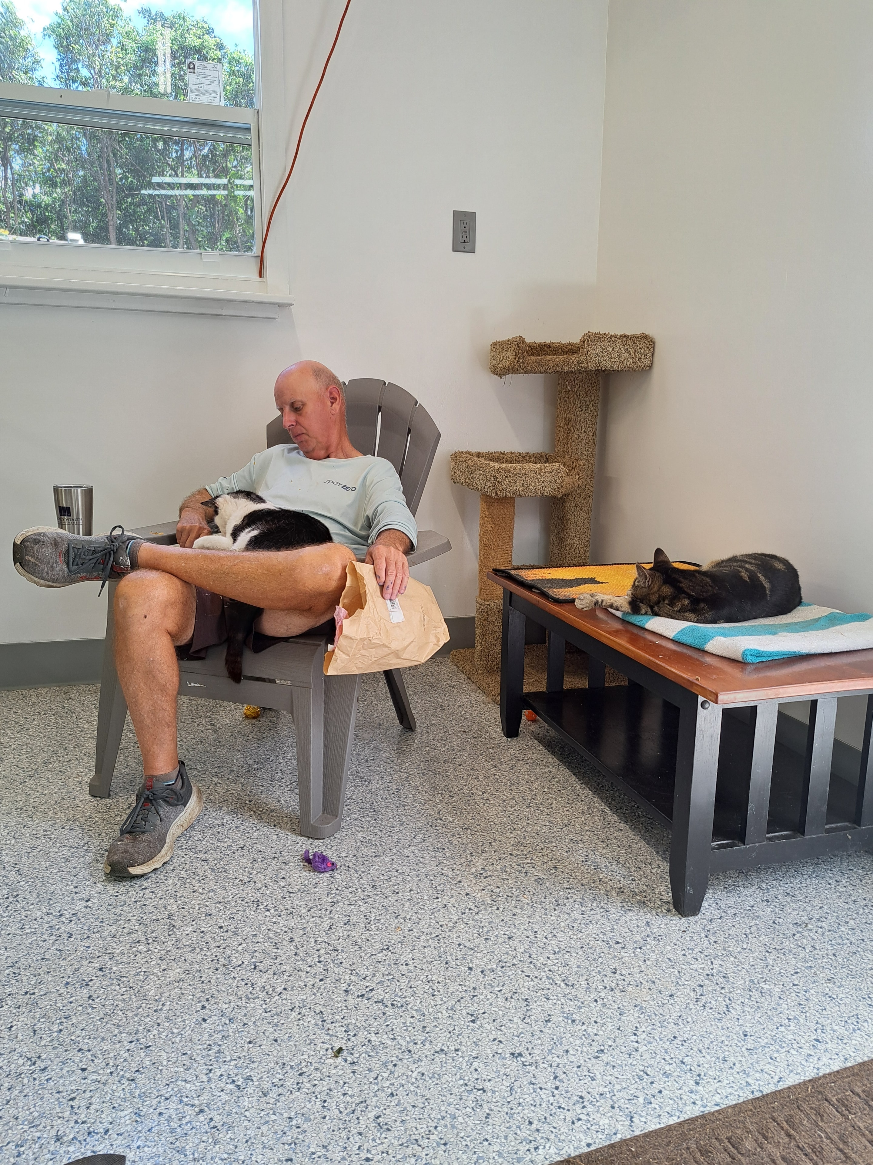 Volunteer holding a rescued cat at Cat Pals Inc.